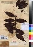 Specimen picture.