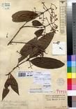 Specimen picture.