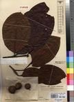 Specimen picture.