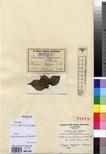 Specimen picture.