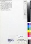 Specimen picture.